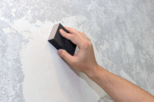 Best Mold Remediation for Healthcare Facilities  in , WY