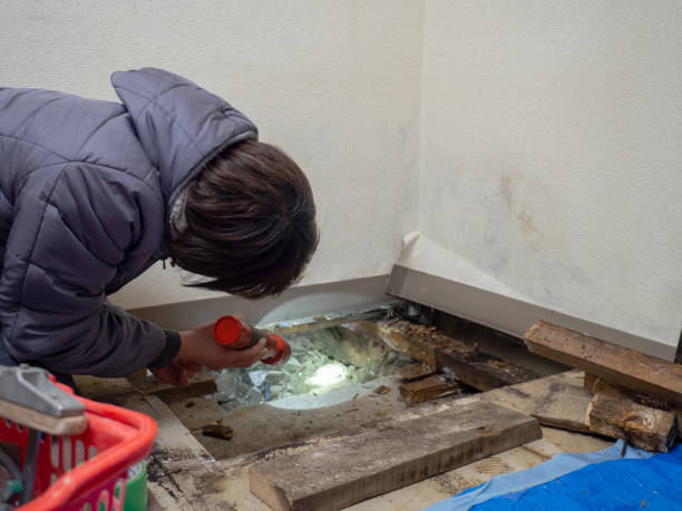 Best HVAC Mold Inspection and Cleaning  in , WY