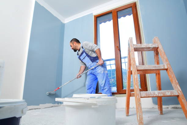 Best Mold Odor Removal Services  in , WY