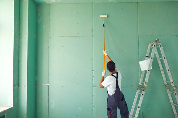 Best Emergency Mold Remediation  in , WY