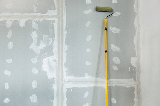 Best Biohazard Mold Removal  in , WY
