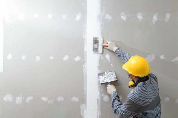 Best Mold Documentation for Insurance Claims  in , WY