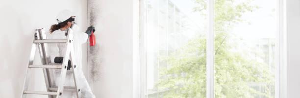  , WY Mold Removal Pros