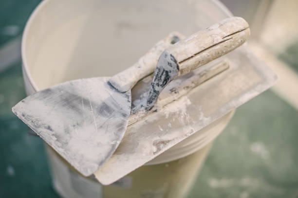 Best Residential Mold Inspection & Testing  in , WY