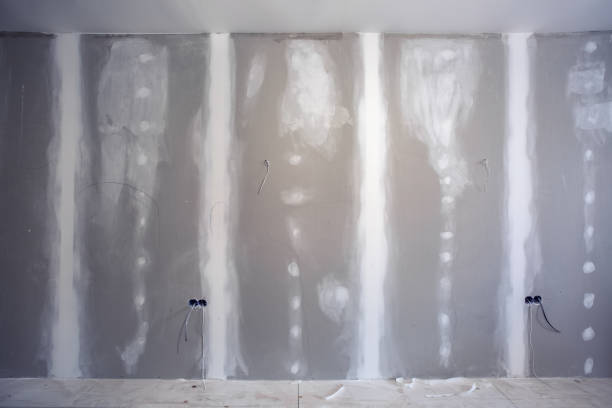 Best Basement Mold Removal  in , WY